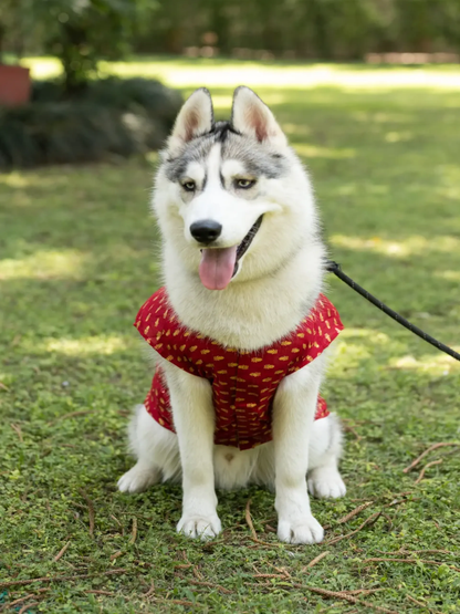 Petsnugs Traditional Red Printed Kurta for Dogs (XS)