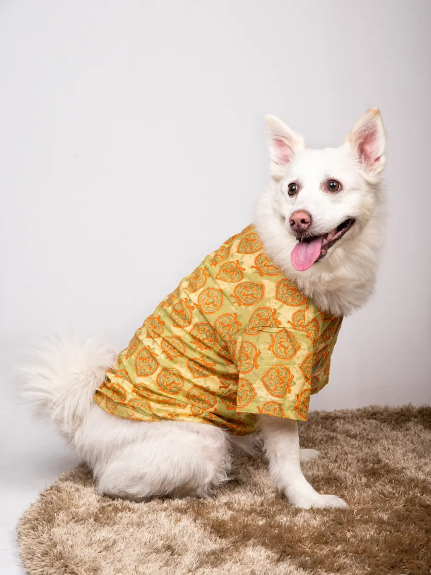 Petsnugs Traditional Green Printed Kurta for Dogs (XS)