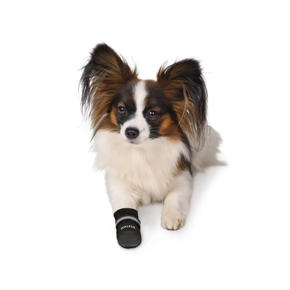 Trixie Walker Care Comfort Protective Dogs Boots Size (XS) 2 pcs, Black