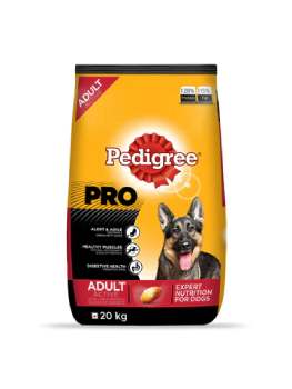Pedigree Pro Expert Nutrition Active Adult Dry Dog Food, 20 kg Pack